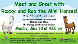 Meet and Greet with Roxxy and Roo the Mini Horses!