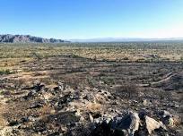 Maricopa County Parks and Recreation: Discovery Station - Saguaro-palooza!