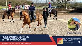 Flat Work Clinics with Joe Roome