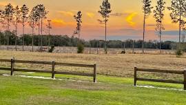 45 Min. Yoga class at ( outside under the pavilion) Heritage Park and Gardens Live Oak, FL.