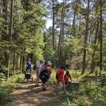 Forest Walk - Indigenous Sharing