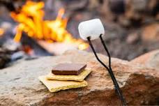 Crazy About S'mores