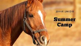 Summer Horse Camp: Week #1