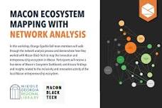 Macon Ecosystem Mapping with Network Analysis