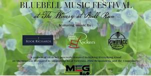 Bluebell Music Festival to Benefit M.E.G.