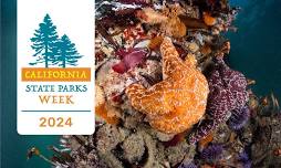 Celebrate California State Parks Week