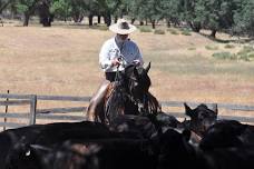 Lester Buckley & Julie Renfro Horsemanship Clinic — V6 Ranch