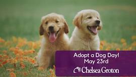 Adopt A Dog Day- New London Branch