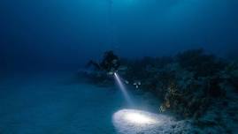 Night Dive at Lake Pleasant