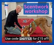 Introduction to scentwork workshop near Barnstaple