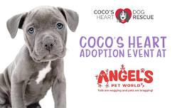 Adoption Event- Angel's Pet World — Coco's Heart Dog Rescue