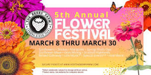 Flower Festival (Weekday)