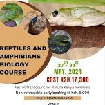 Reptiles and Amphibians Biology Course