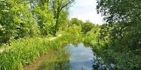 Guided Tour of Winnall Moors