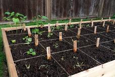 Workshop: Square Foot Gardening