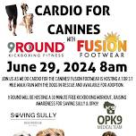 Carido for Canines with 9Round & Fusion Footwear