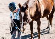 Deposit:  Horse Lovers Camp