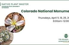 Native Plant Master Course - Colorado National Monument