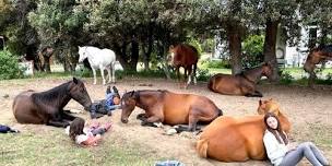 Kids 'Life Skills' Residential Horse Camp: Building Confidence Through Equine Learning