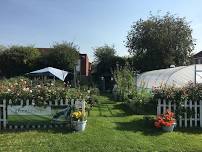 Open afternoon- plants, tea, cake and crafts