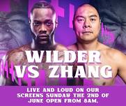 Wilder vs Zhang fight