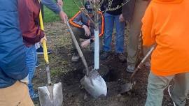 Earth Day Celebration: Tree Planting at the Tecumseh District Library