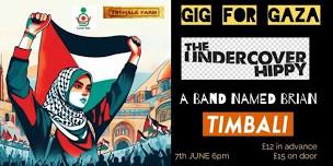 Gig for Gaza- The Undercover Hippy- a BAND NAMED BRIAN - Timbali