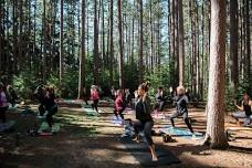 Yoga in the Pines