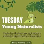 Young Naturalists at the Museum