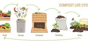 Composting Basics