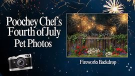 Poochey Chef’s Fourth of July Photos