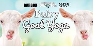 Baby Goat Yoga - May 26th  (ASPEN GROVE)