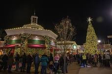 Holiday Tree Lighting