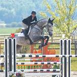 Spruce Meadows Continental