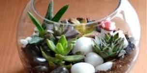 Succulent Terrarium: Bring Nature Indoors