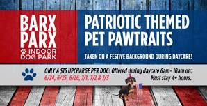 $15 Patriotic Pawtraits During Daycare