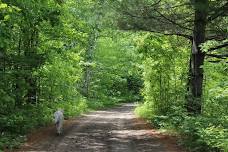 Rosseau Market - Fridays