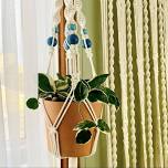 Macramé Plant Hanger Workshop | Age 15 - Adult