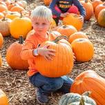 Harvest Festival Weekend — Liberty Ridge Farm | Family Things to Do | Albany, NY | Saratoga, NY