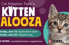 * 2024 Kitten Palooza Adoption Event *