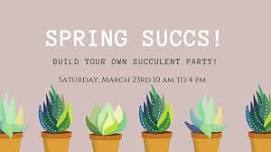 Spring Succs: Create your Own Succulent Party!