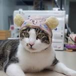 【Workshop(s)】Hsinchu Handmade Experience Course — Bear Hat Pet Headgear for Furry Kids