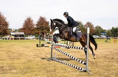 Treverton Eventing