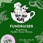 Fundraiser Benefitting Noelle's Foster Kittens