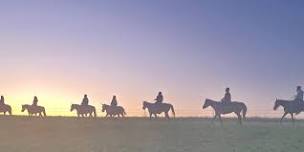 Firefly Ride Moonlight Horseback Ride With Bonfire &  Tarot July 12th 2024