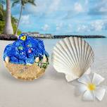 KIDS Workshop: ‘Ocean in a Shell’ (Sat 15/6/24)