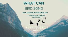 What Can Bird Song Tell Us About River Health?