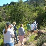 Free Docent Tours at the Regional Parks Botanic Garden