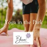 Saturday Morning Yoga in the Park