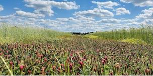 2024 Climate Smart Cover Crop Field Day